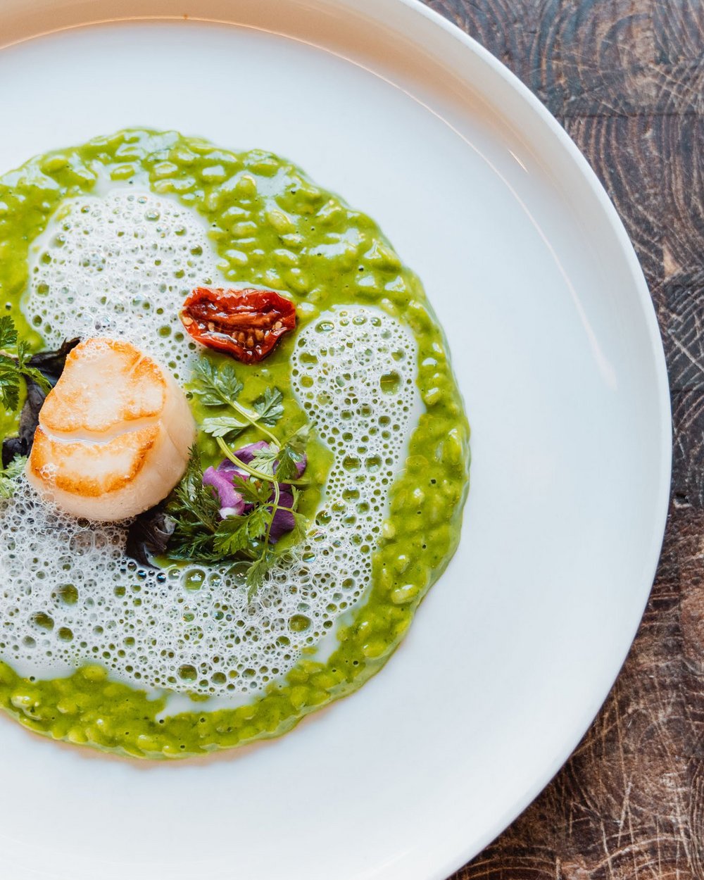 Grünes Risotto mit Jakobsmuschel und Schaum auf weißem Teller
